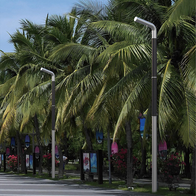 Palo flessibile per luce solare HJT rivestito LIENZ